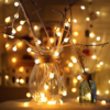 Berry Ball Lights (Battery Operated) - Image 2