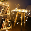 Berry Ball Lights (Battery Operated)