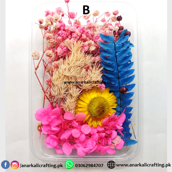 Real Dry Flower Box - Image 8