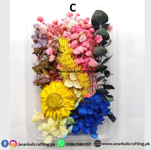 Real Dry Flower Box - Image 9
