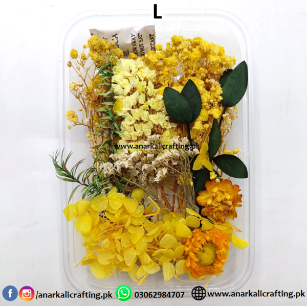 Real Dry Flower Box - Image 13