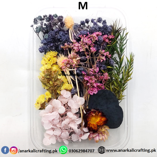 Real Dry Flower Box - Image 14