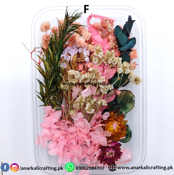 Real Dry Flower Box - Image 7