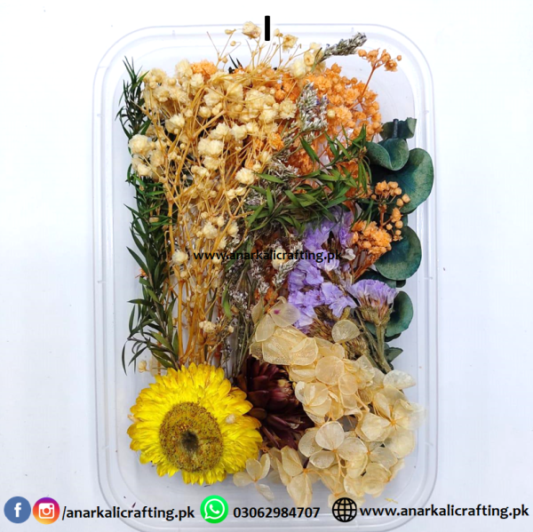 Real Dry Flower Box - Image 10