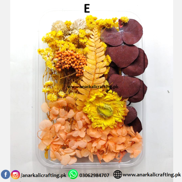 Real Dry Flower Box - Image 11