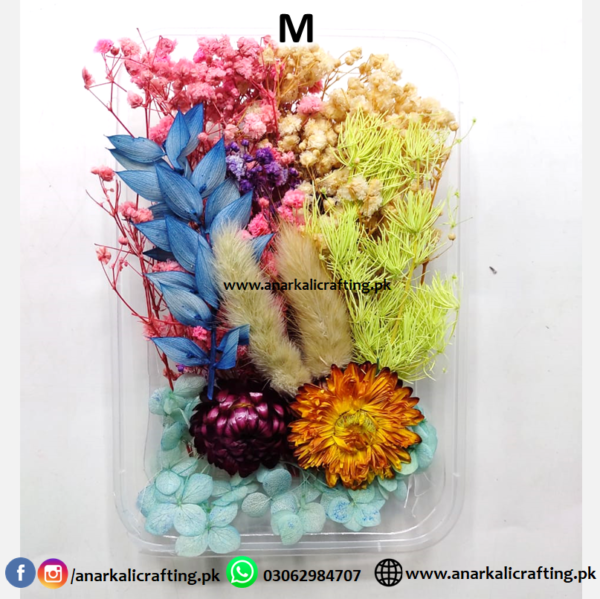Real Dry Flower Box - Image 14