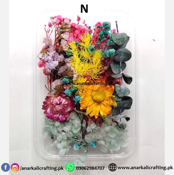 Real Dry Flower Box - Image 15