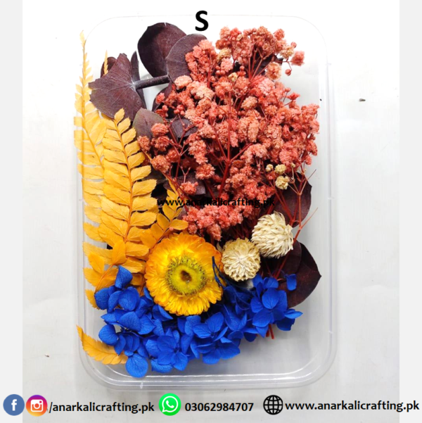 Real Dry Flower Box - Image 20