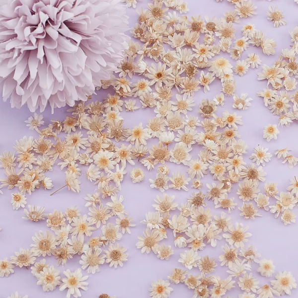 Miniature Dry Flowers White