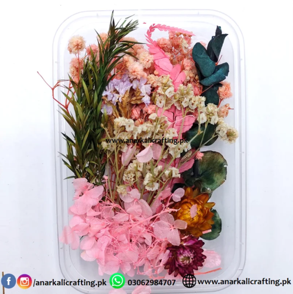 Real Dry Flower Box DB01