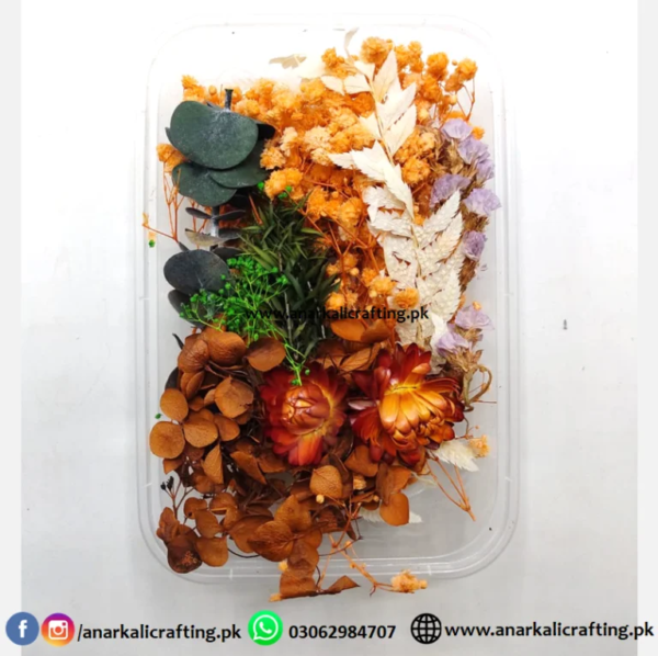 Real Dry Flower Box DB02