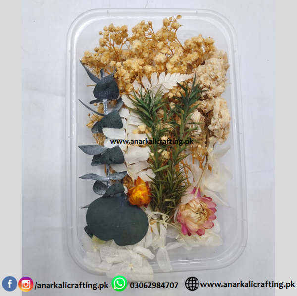 Real Dry Flower Box DB05