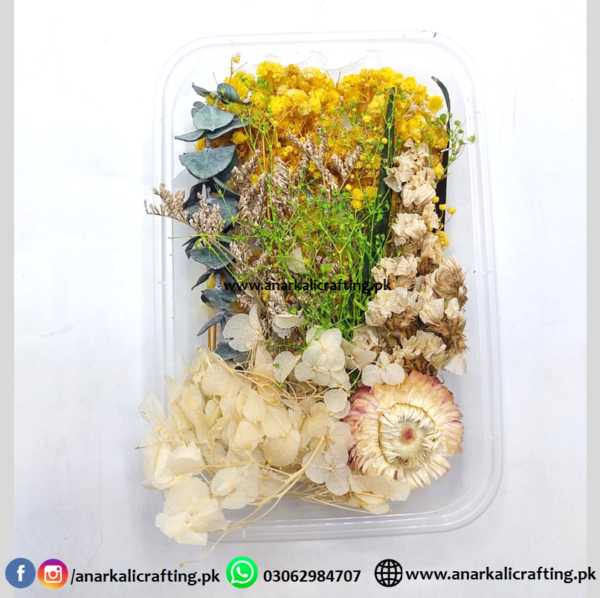 Real Dry Flower Box DB06