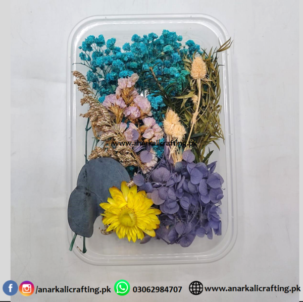 Real Dry Flower Box DB07