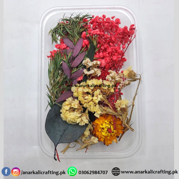Real Dry Flower Box DB08