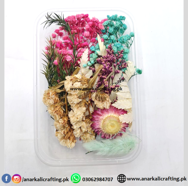 Real Dry Flower Box DB09