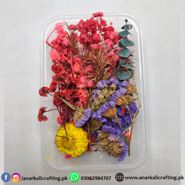 Real Dry Flower Box DB11