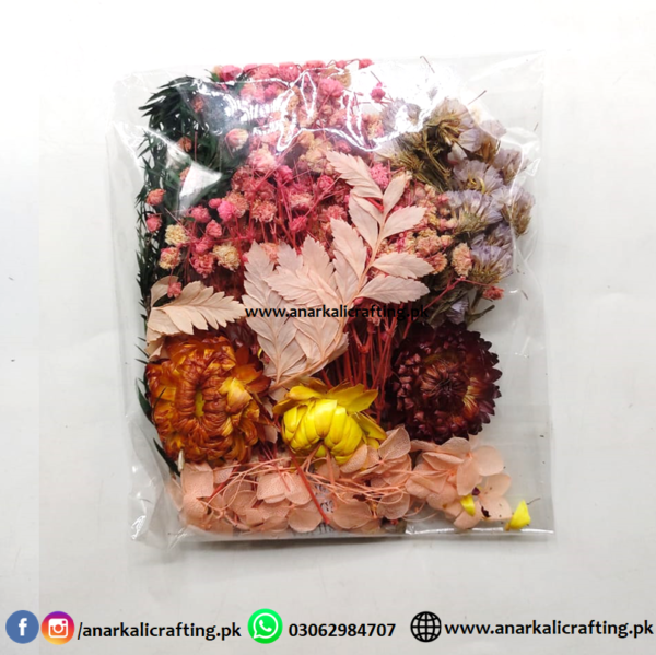Real Dry Flower Packet DP03