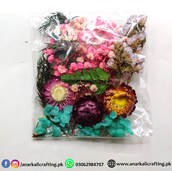 Real Dry Flower Packet DP04