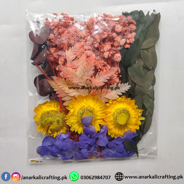 Real Dry Flower Packet DP09