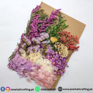 Real Dry Flower Card Pack (CP111)
