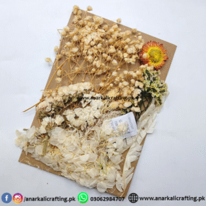 Real Dry Flower Card Pack (CP109)