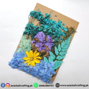 Real Dry Flower Card Pack (CP108)