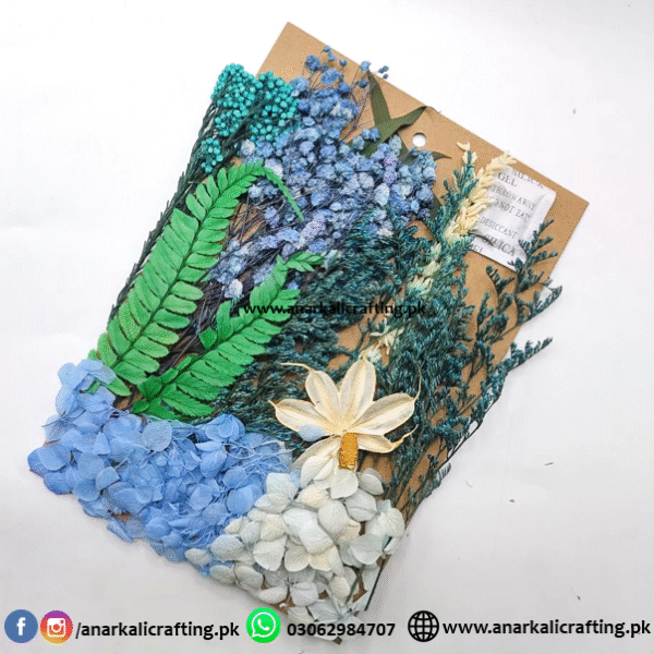 Real Dry Flower Card Pack (CP107)