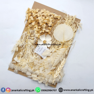 Real Dry Flower Card Pack (CP106)
