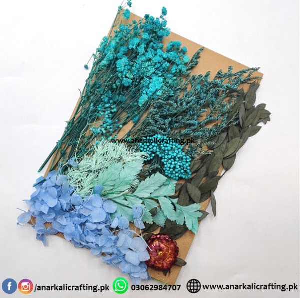 Real Dry Flower Card Pack (CP104)