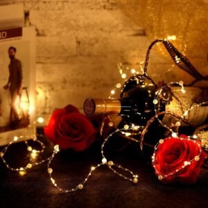 White Pearl Seed Lights (Battery Operated)