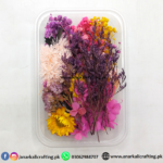 Real Dry Flower Box Pack (BP105)
