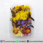 Real Dry Flower Box Pack (BP109)