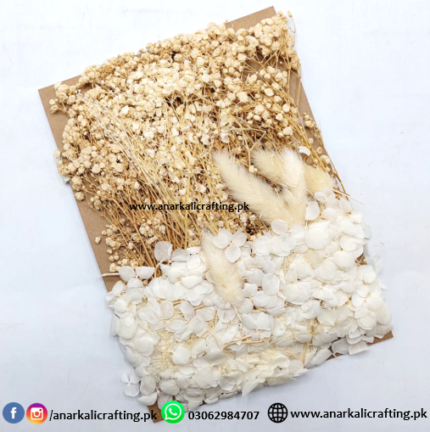 Real Dry Flower Card Pack (CP106)