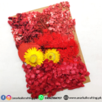 Real Dry Flower Card Pack (CP105)