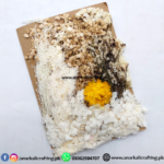 Real Dry Flower Card Pack (CP103)