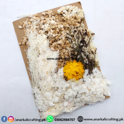 Real Dry Flower Card Pack (CP103)