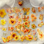 Floral Pet Stickers Set I