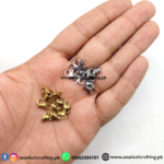 Lobster Chain locks Stainless Steel