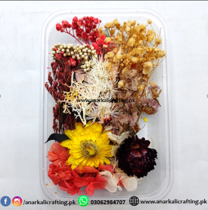 Real Dry Flower Box Pack (BP121)