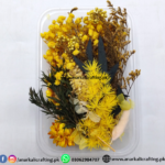 Real Dry Flower Box Pack (BP122)