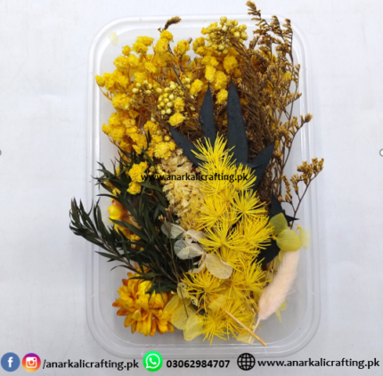 Real Dry Flower Box Pack (BP122)
