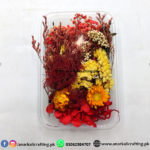 Real Dry Flower Box Pack (BP123)