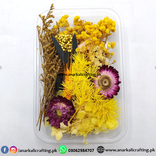 box14 Real Dry Flower Box Pack (BP124) - Image 1