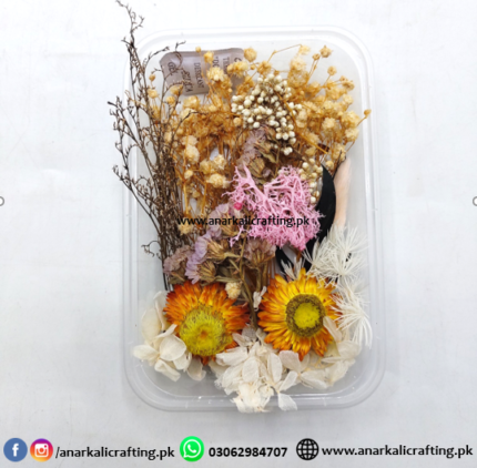 Real Dry Flower Box Pack (BP129)
