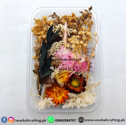 Real Dry Flower Box Pack (BP112)