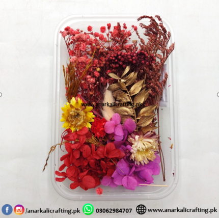 Real Dry Flower Box Pack (BP115)