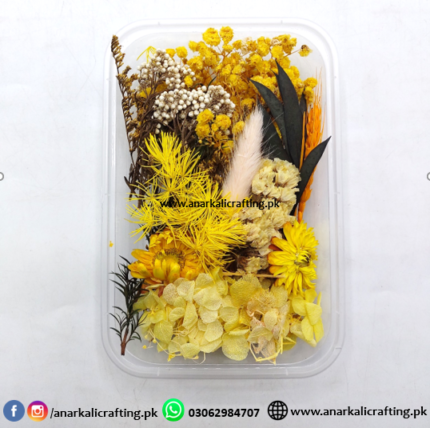 Real Dry Flower Box Pack (BP117)