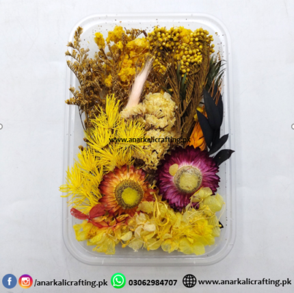 Real Dry Flower Box Pack (BP118)