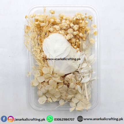 Real Dry Flower Box Pack (BP139)